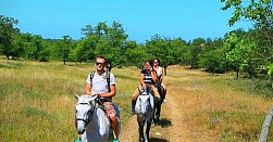 Конные прогулки